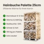 Palette kammergetrocknetes gespalten Hainbuche Brennholz 25cm – Image 6