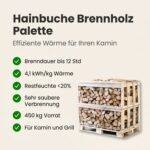 Halbe palette kammergetrocknetes gespalten Hainbuche Brennholz 25cm – Image 5